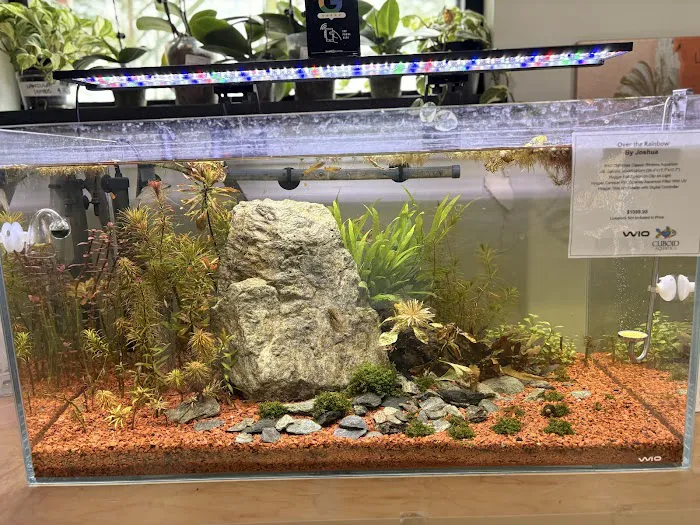 Cuboid Nature Aquarium Picture 2