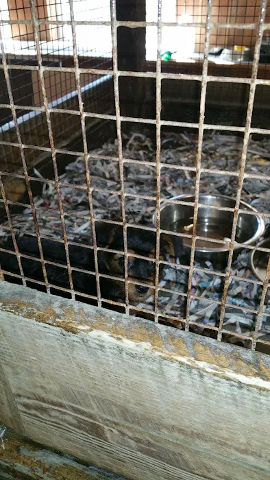 Jack's Dog Farm Picture 2