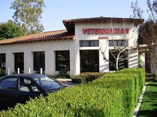 Animal & Bird Clinic of Mission Viejo Picture 4