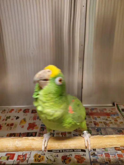 Animal & Bird Clinic of Mission Viejo Picture 1