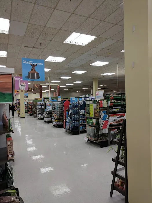 Petco Picture 6