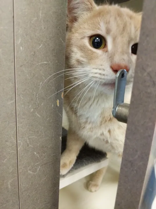 Petco Picture 1