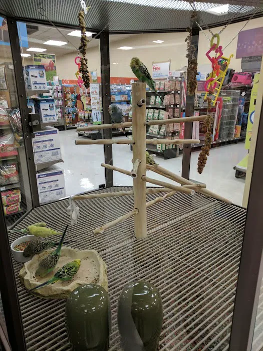 Petco Picture 9