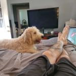 Canines-N-Critters