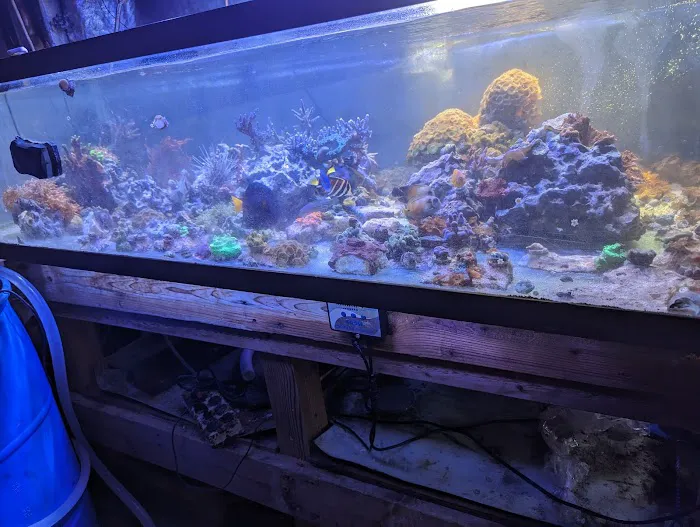 Fish Geeks aquarium maintenance Picture 4