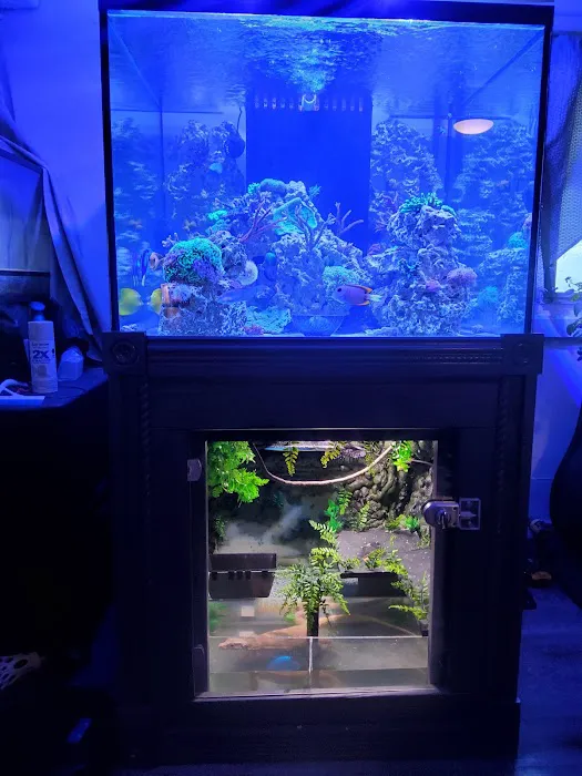 Fish Geeks aquarium maintenance Picture 3
