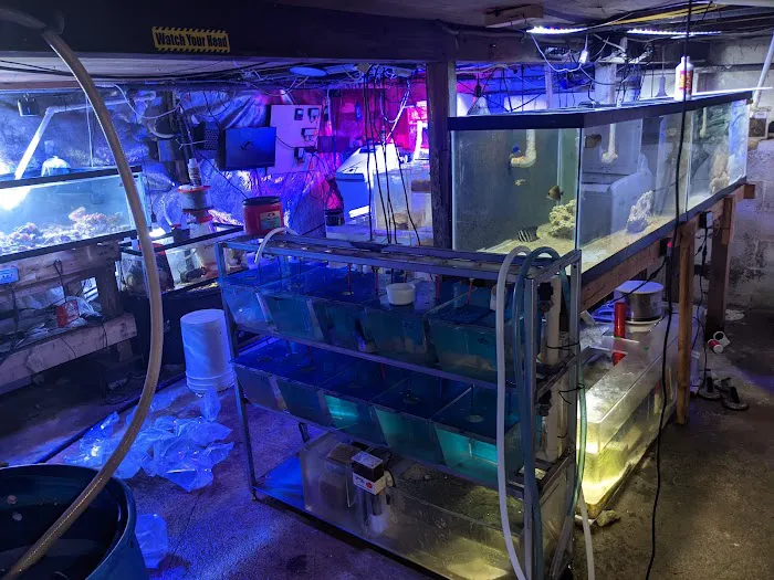 Fish Geeks aquarium maintenance Picture 8