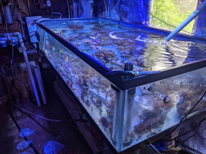 Fish Geeks aquarium maintenance Picture 7