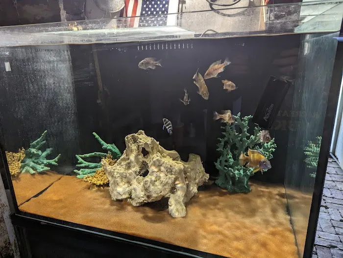 Fish Geeks aquarium maintenance Picture 10