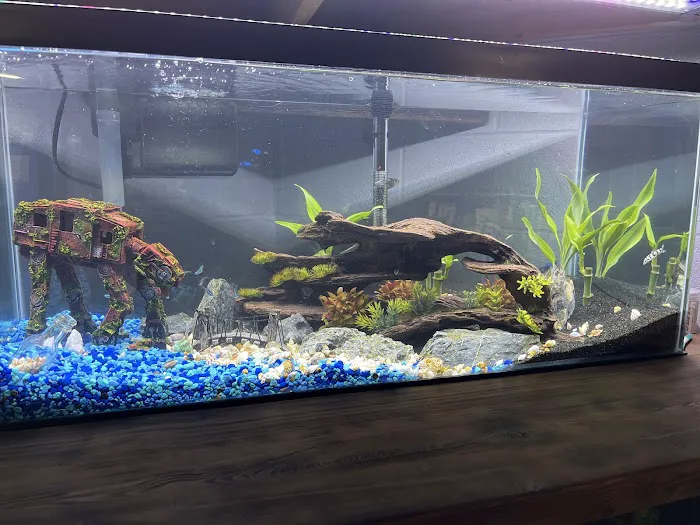 Fish Geeks aquarium maintenance Picture 9