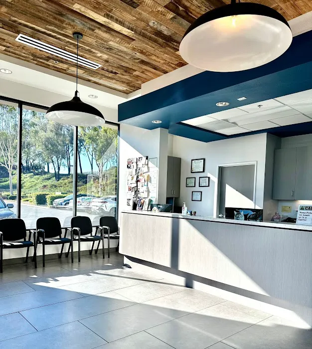 Rancho Niguel Animal Hospital Picture 9