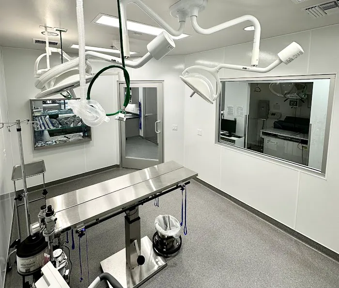 Rancho Niguel Animal Hospital Picture 2