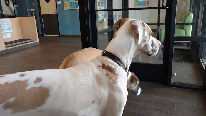 Banfield Pet Hospital Picture 1