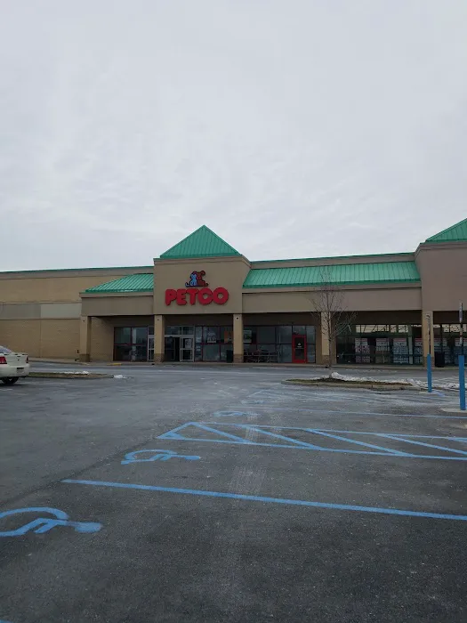 Petco Picture 9