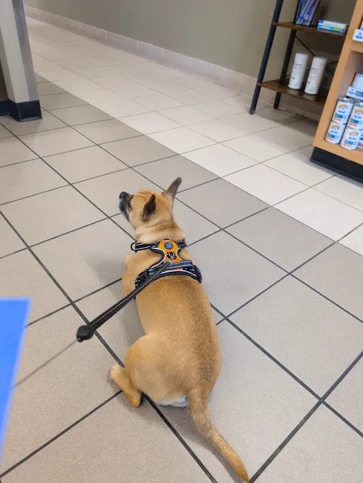 VCA Laguna Niguel Animal Hospital Picture 3