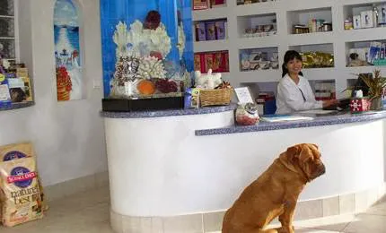 Monarch Veterinary Hospital Picture 2