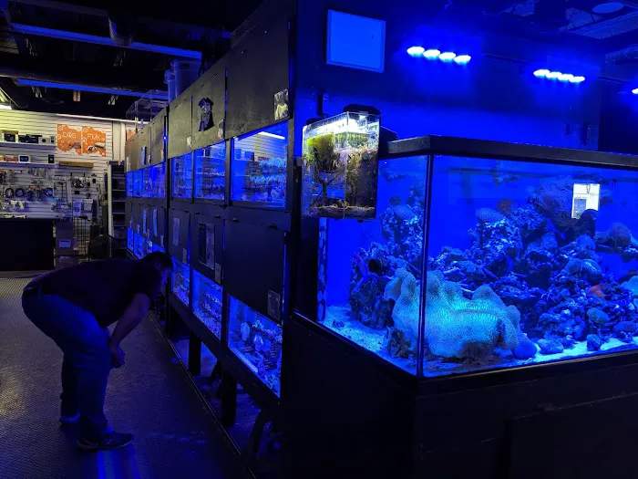 Something Fishy: Saltwater Aquarium Superstore Picture 1