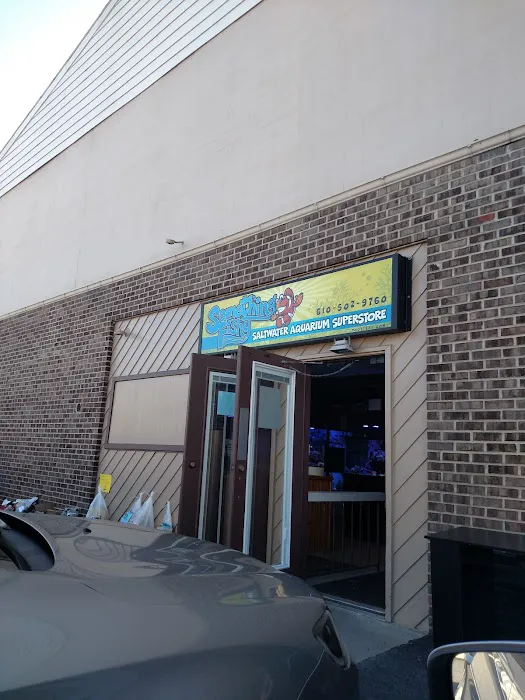 Something Fishy: Saltwater Aquarium Superstore Picture 8