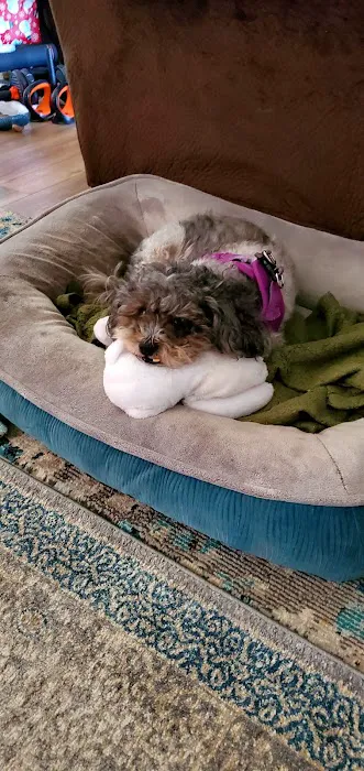 Mission Park Pet Hospital Picture 4