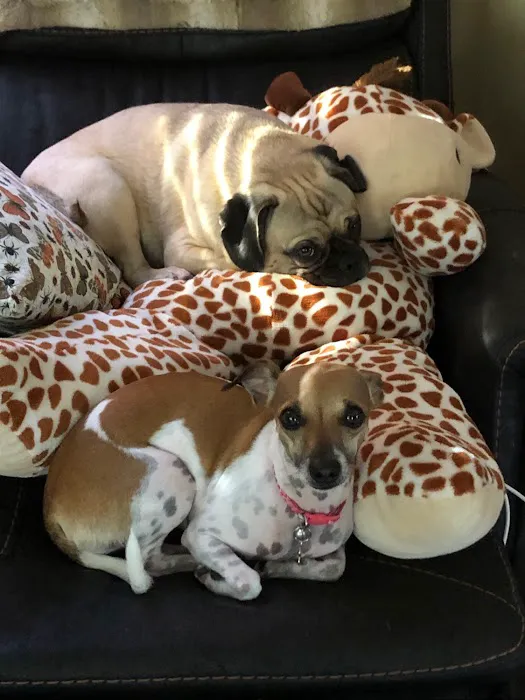 Mission Park Pet Hospital Picture 8