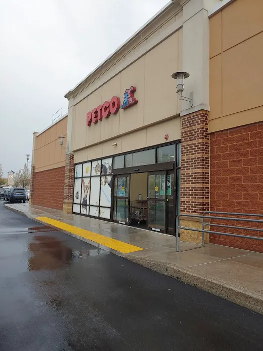 Petco Picture 3