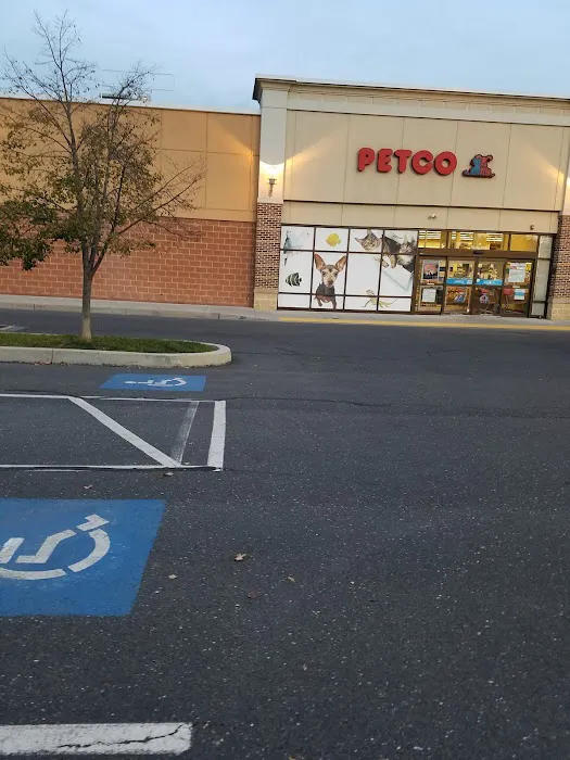 Petco Picture 5