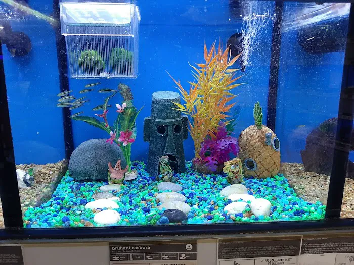 Petco Picture 8