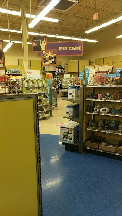 Petco Picture 1