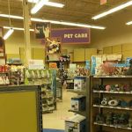 Petco