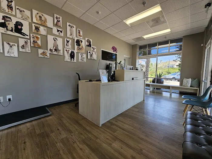 Dana Point Animal Hospital Picture 10