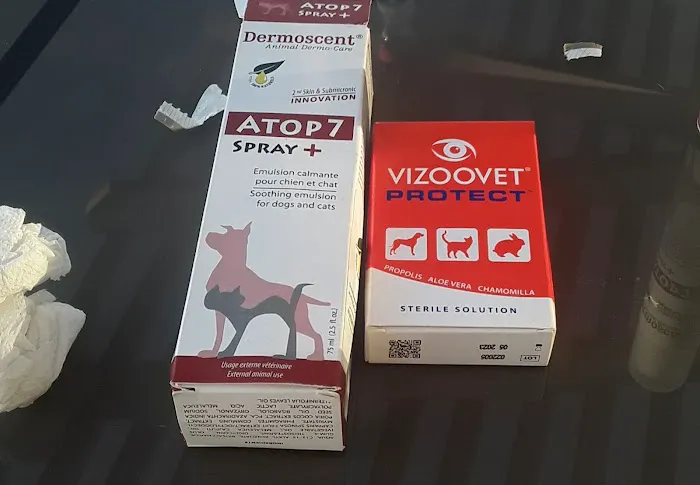 Petnetwork LLC Picture 3