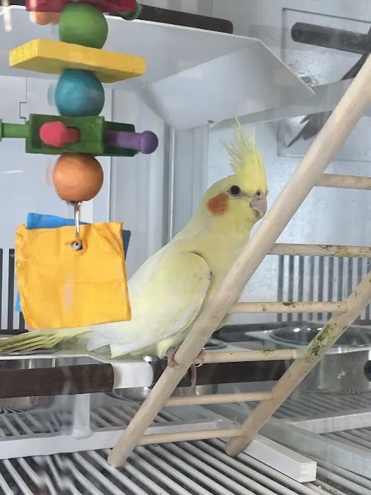 Petco Picture 2