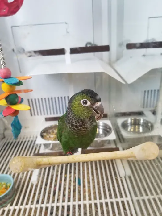 Petco Picture 7