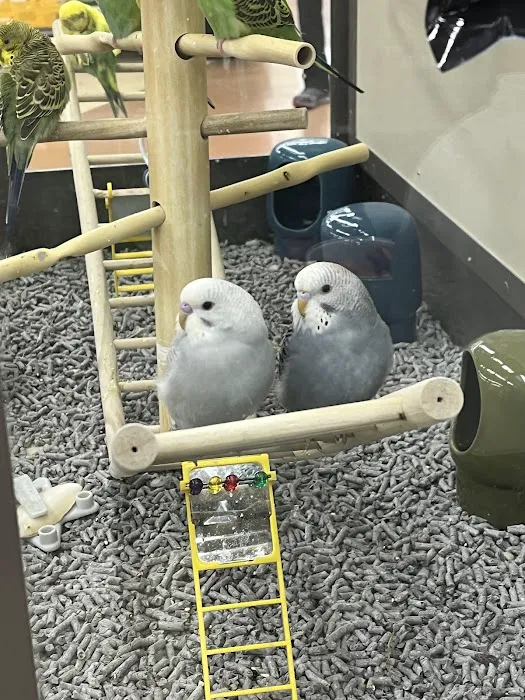 Petco Picture 4