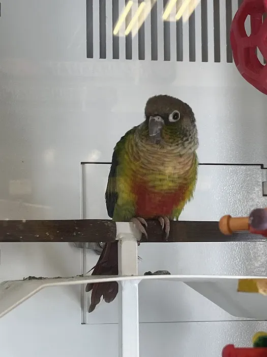 Petco Picture 1