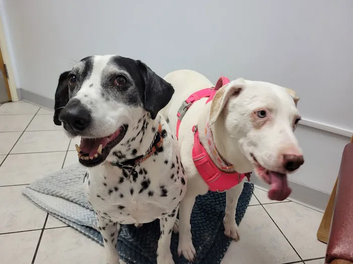 Marina Hills Animal Hospital Picture 5