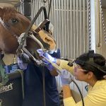 Mission Equine Hospital