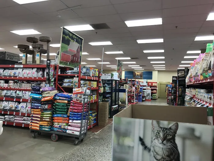 Petco Picture 3