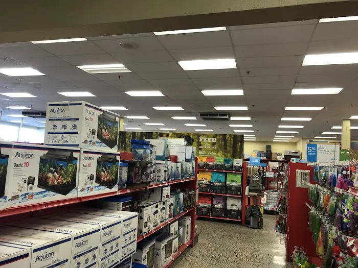 Petco Picture 5