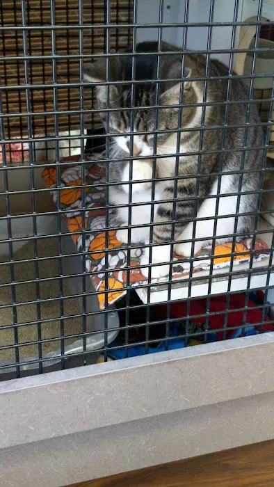 Petco Picture 6
