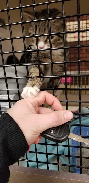 Petco Picture 4
