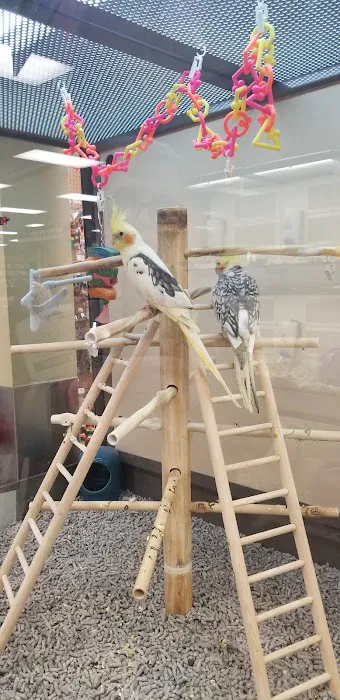 Petco Picture 2