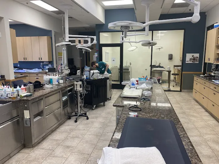 VCA Santa Margarita Animal Hospital Picture 4