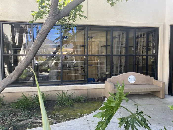 VCA Santa Margarita Animal Hospital Picture 9