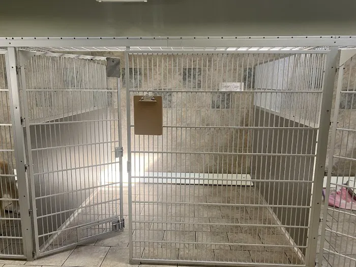 VCA Santa Margarita Animal Hospital Picture 6