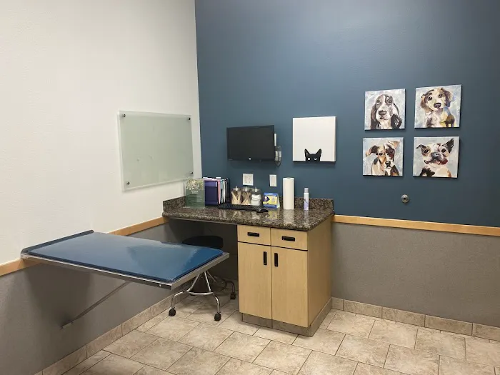 VCA Santa Margarita Animal Hospital Picture 10