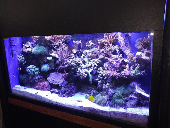 Fish Factory Picture 2