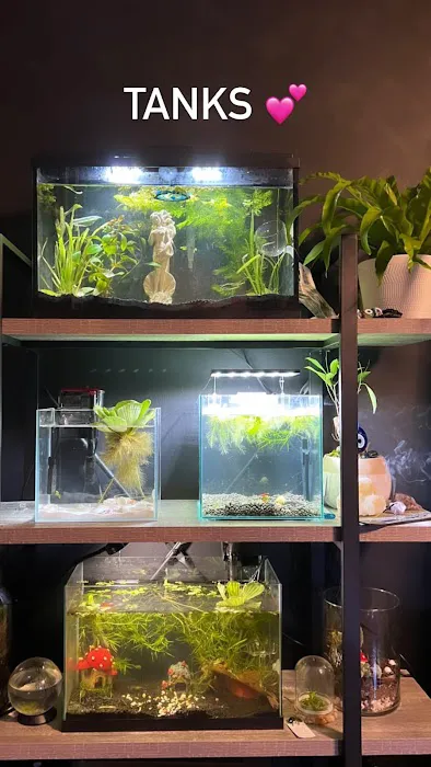 Fish Factory Picture 1