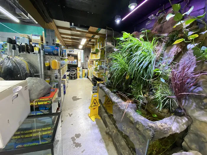 Fish Factory Picture 7