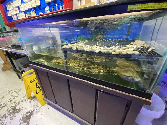 Fish Factory Picture 4